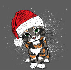 Portrait of a cat in a santa claus hat. Can be used for printing on T-shirts, flyers, etc. Vector illustration
