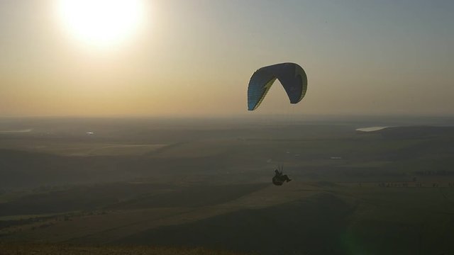 Paraglider flying with birds