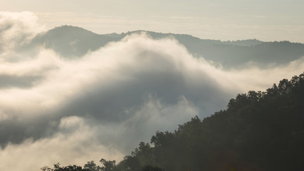 Fototapeta na wymiar Misty landscape with light morning through