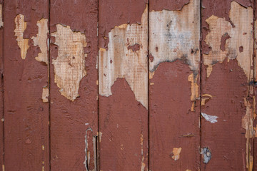 Texture of a peeling brown paint on an old wooden surface.