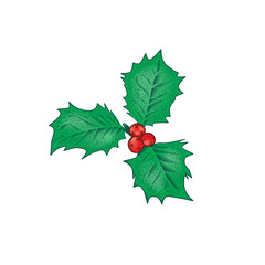 Christmas holly leaves and berries holiday decoration