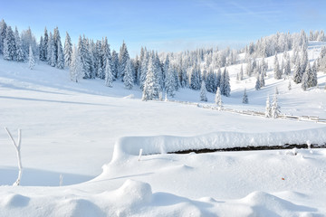 Fototapeta na wymiar Winter in Transylvania