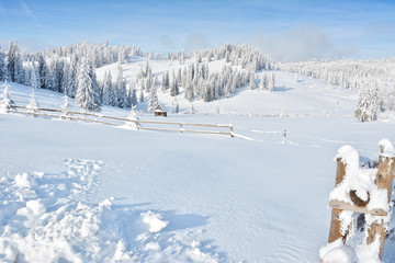 Winter in Transylvania