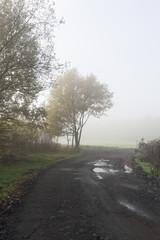 Fototapeta na wymiar autumnal fog