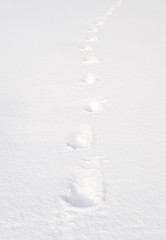 足跡　雪　素材