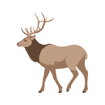 big deer vector illustration flat style  profile