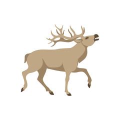 deer vector illustration flat style  profile side