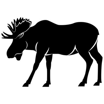 Vector image of elk silhouette