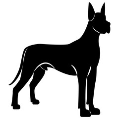 Vector image of a dog silhouette of a breed royal dog on a white background