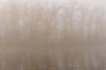 Fog above the surface of the water