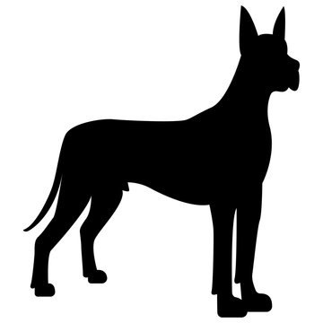 Vector image of a dog silhouette of a breed royal dog on a white background