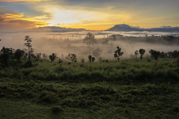 sunrise in the Tung-sa-laeng-luang nationalpark