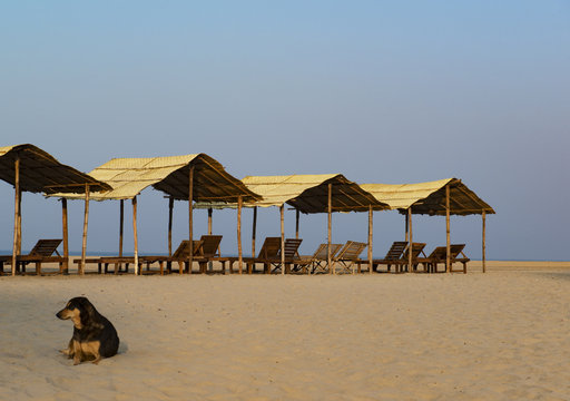 Goa, Indien