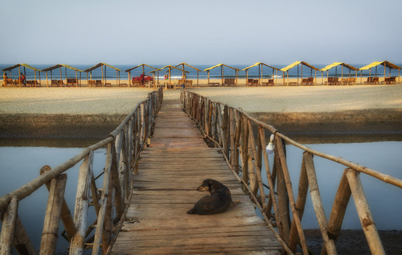 Goa