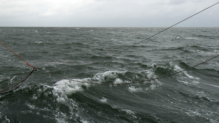 Pesca a strascico nel mare di Wadden