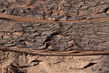 the old barrel 2