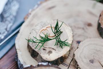 Wedding golden rings on wood cut. Artwork