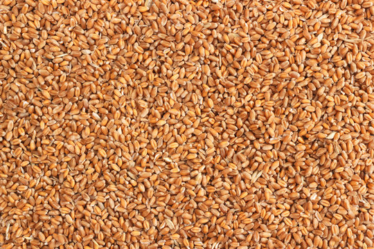 Raw wheat seeds background