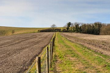 Winter Farm Landscape