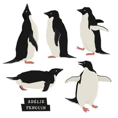 Penguins Geometric style