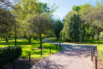Boston Common Frog Pond is a central public Garden park in downtown Boston, Massachusetts. and city skyline. 