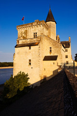 Fototapeta na wymiar Chateau de Montsoreau, Loire Valley, France