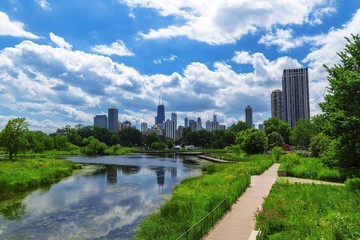 Chicago Skyline