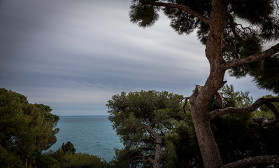 Fototapeta na wymiar Travel, Landscape, water, Europe, Monaco