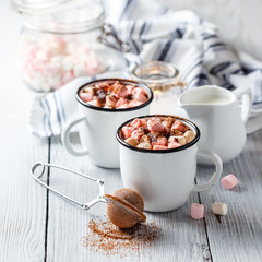 Hot Cocoa with Marshmallows