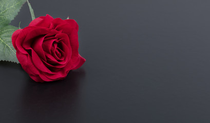 Close up of a single red rose on stone background