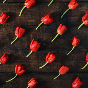 Set of red tulips on dark wooden table top view