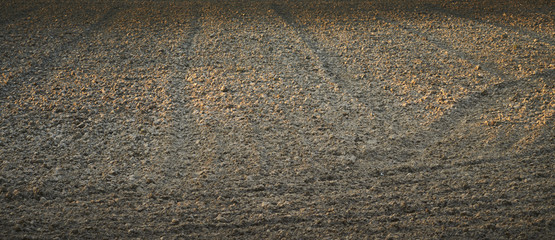 Plot of a plowed field at sunset