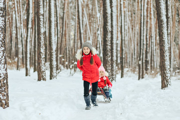 Fototapeta na wymiar The sister is sledging her sister in the winter in the forest.