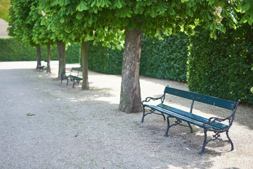 Fototapeta na wymiar a bench in the gardens of the Belvedere Palace in Vienna, surrounded by trees