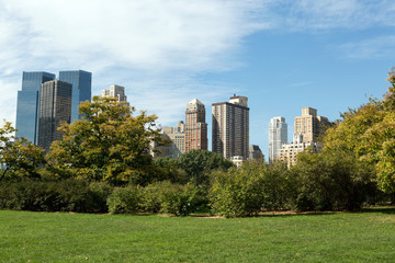 Obraz premium Central Park in New York