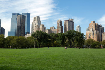 Obraz premium Central Park in New York