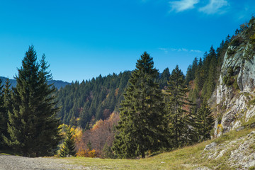 Fototapeta na wymiar Montagne en automne