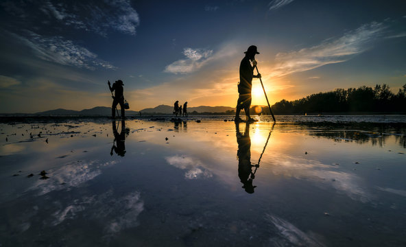 sunset, silhouette, beach, fishing, water, sea, sun, woman, ocean, sky, people, fisherman, nature, sunrise, dusk, couple, evening, reflection, landscape, summer, lake, coast, orange, life, work