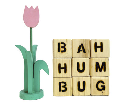 Spring-flowers and a new beginning. Humph! Bah humbug!