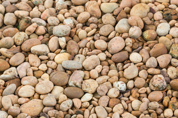 Background with different small sea pebble stones.