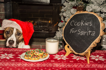 Cookies and Milk for Santa