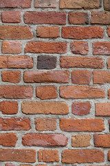 The old brick wall 