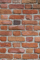 The old brick wall 