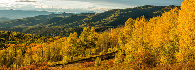 Sunset Golden Valley - A panoramic autumn sunset view of golden aspen grove in a mountain valley,...