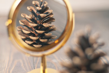 Pine cone close-up on a wooden rustic background with reflection in the mirror, selective focus.