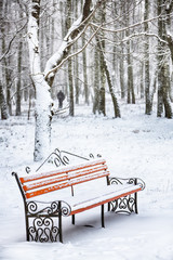 Park bench and trees covered by heavy snow