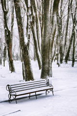 Park bench and trees covered by heavy snow