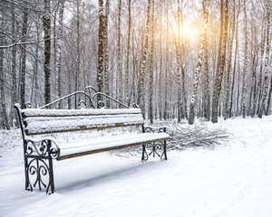 Park bench and trees covered by heavy snow