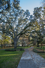 Path through the oak trees and Spanish Moss in Forsyth Park, Savannah