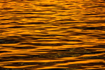 Sea at sunset water shining